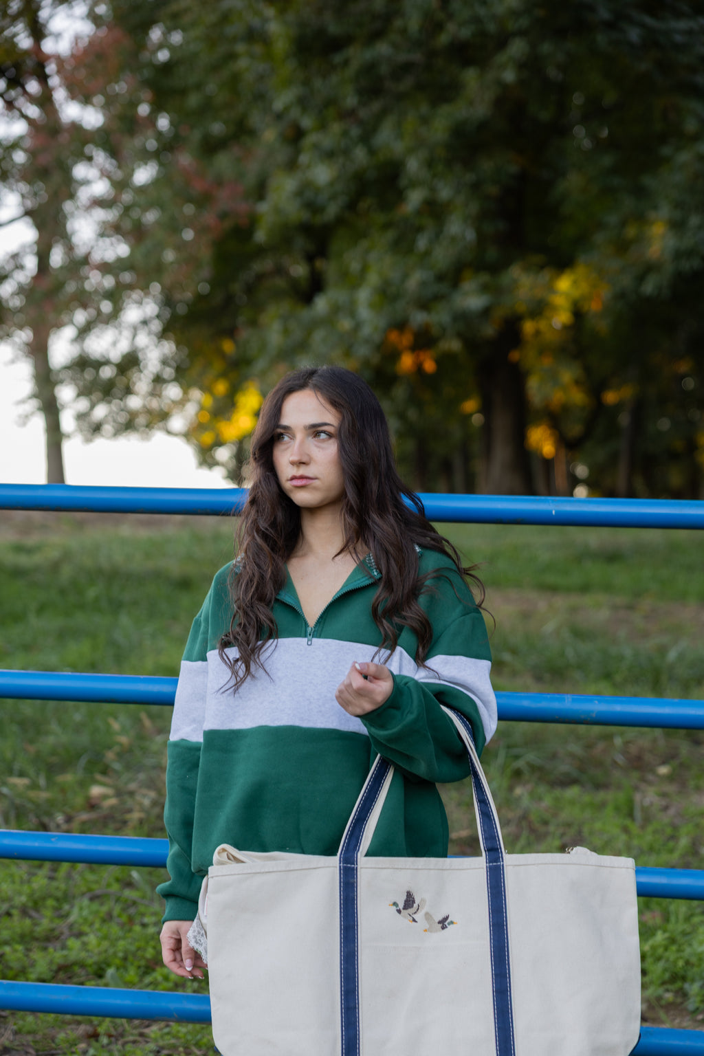 The Amelia Tote